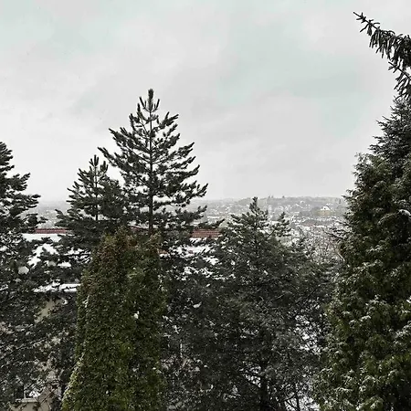 Central Luxury Apartment With City View Brasov Exterior photo