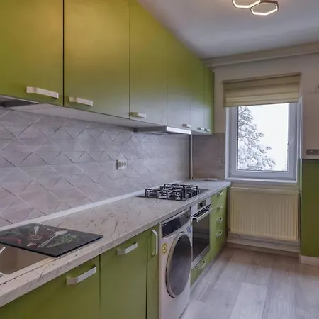 Central Luxury Apartment With City View Brasov Exterior photo