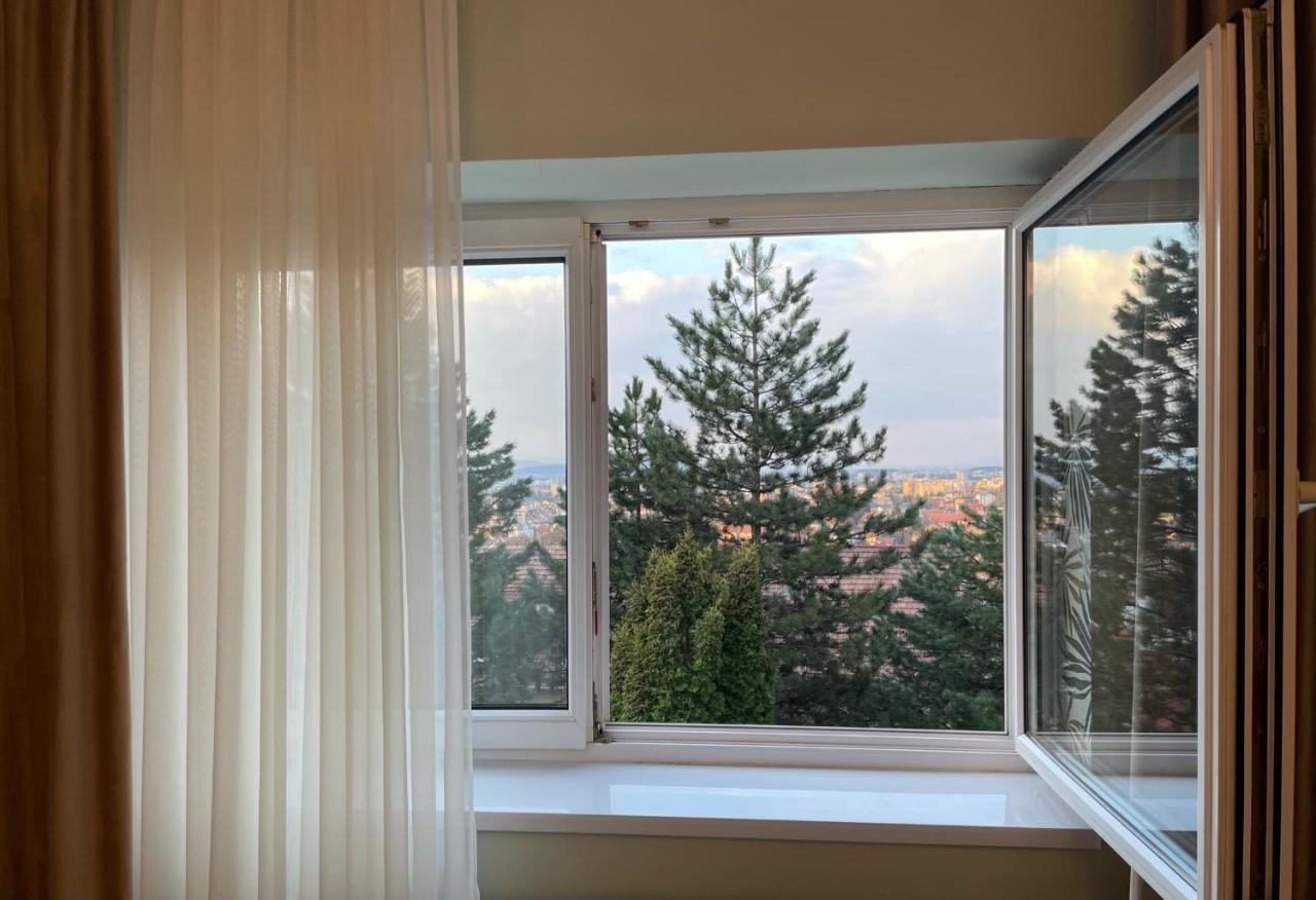 Luxury With View
