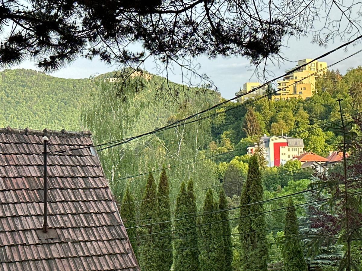 Luxury With View Apartament Brașov