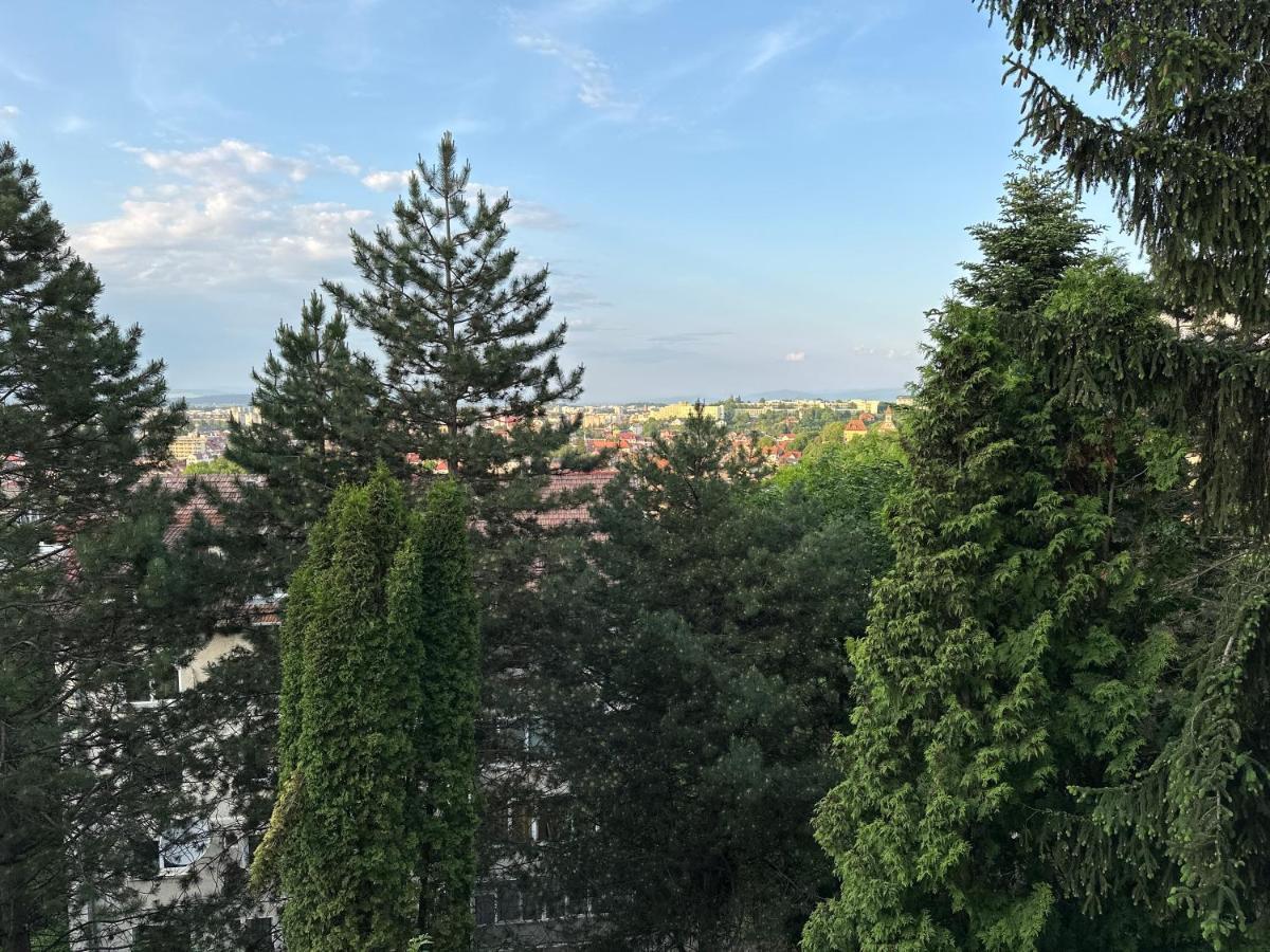 Luxury With View Appartamento Braşov